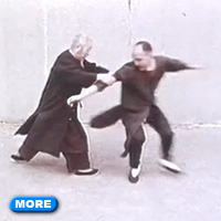 Cheng Man-Ching pushing hands with Ed Young