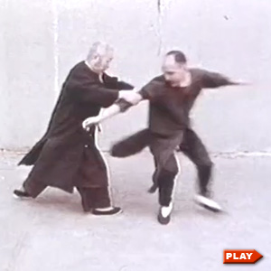 Cheng Man Ching pushing hands with Ed Young