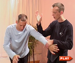 Nils Klug and partner demonstrate Roll Away Tai Chi application