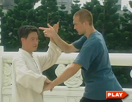 Chen Yuen San pushing hands with Alex Kozma