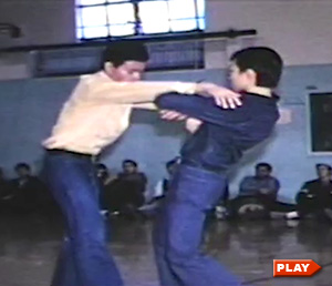 William Chen's students demonstrating push hands