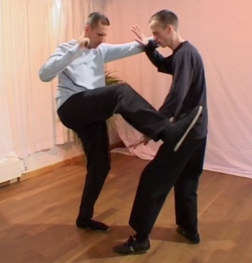 Nils Klug and partner demonstrate Step Up, Deflect, Intercept and Punch Tai Chi application