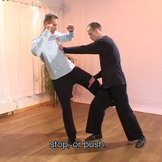 Nils Klug and partner demonstrate Retreat to Mountain Camp for Rematch Tai Chi application