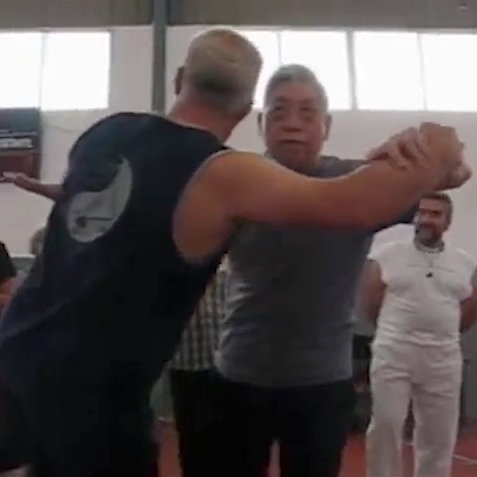 William Chen teaching Tai Chi push hands in a park in Spain